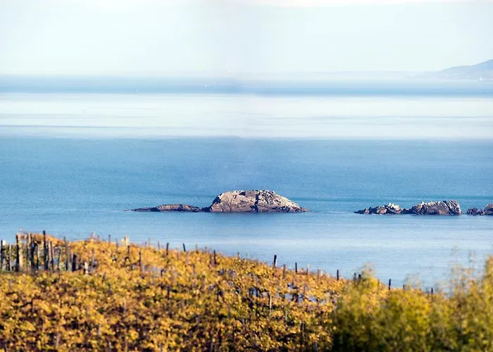 Aterian Euromar I Appartamento Zarautz